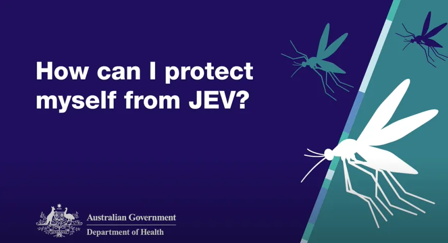 How can I protect myself from JEV?