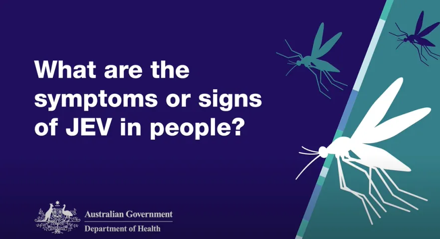 What are the symptoms or signs of JEV?