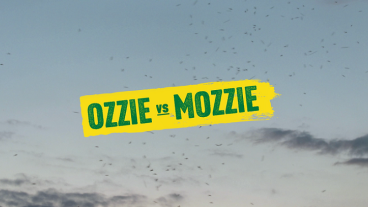 ozzie vs mozzie
