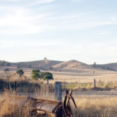 Rural landscape