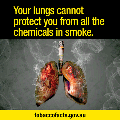 Toxic chemicals in tobacco smoke