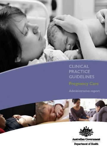 cover page of the Pregnancy care guidelines administrative report