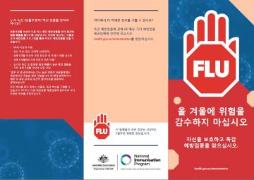 Influenza brochure cover - Korean