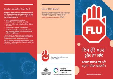 Influenza brochure cover - Punjabi