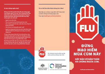 Influenza brochure cover - Vietnamese