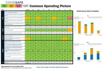 Coronavirus (COVID-19) common operating picture – 22 October 2020