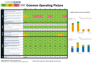 cover image for the Coronavirus (COVID-19) common operating picture – 29 October 2020