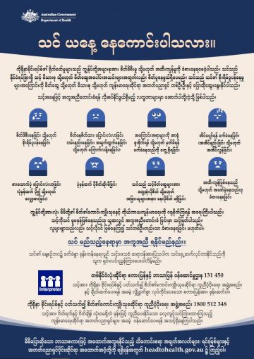 Burmese fact sheet cover image