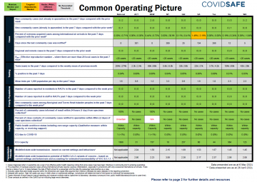 common operating picture