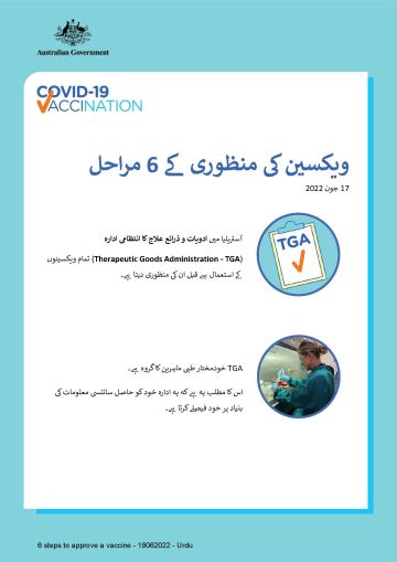ویکسین منظور کرنے کے 6 مراحل کے متعلق آسان معلومات
