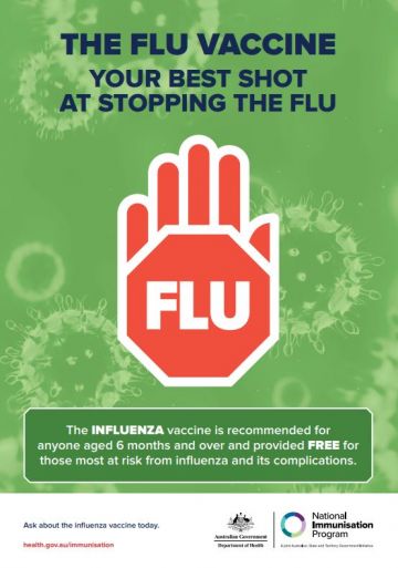 Seasonal influenza cover image