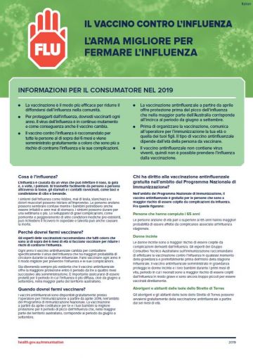 The flu vaccine – Information for consumers in 2019 fact sheet (Italian)